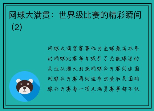 网球大满贯：世界级比赛的精彩瞬间 (2)